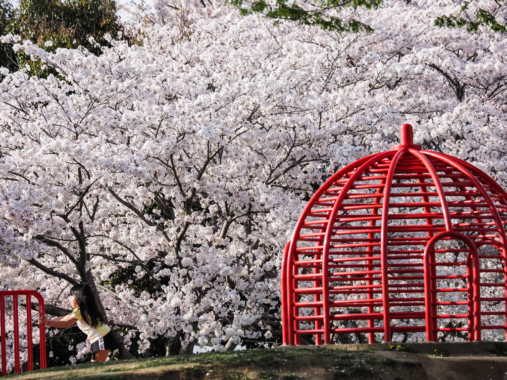 緑とスポーツのふれあい公園