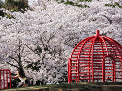 緑とスポーツのふれあい公園