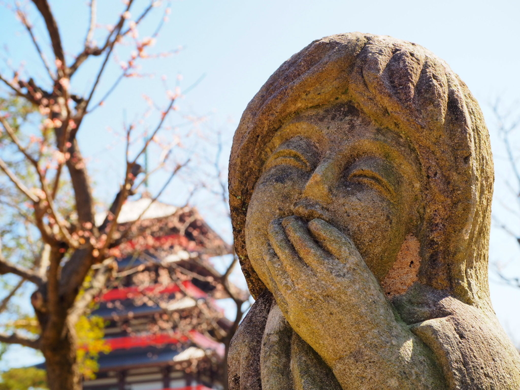 蓮華院誕生寺奥の院
