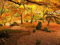 光明禅寺
