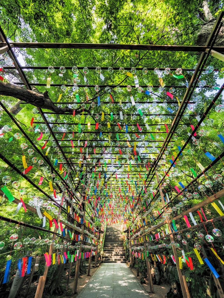 風鈴祭り