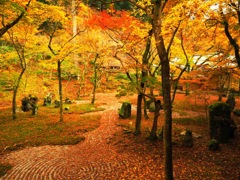 光明禅寺