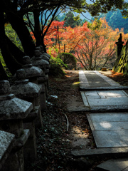 千如寺