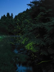 武雄保養村