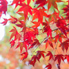 大興禅寺