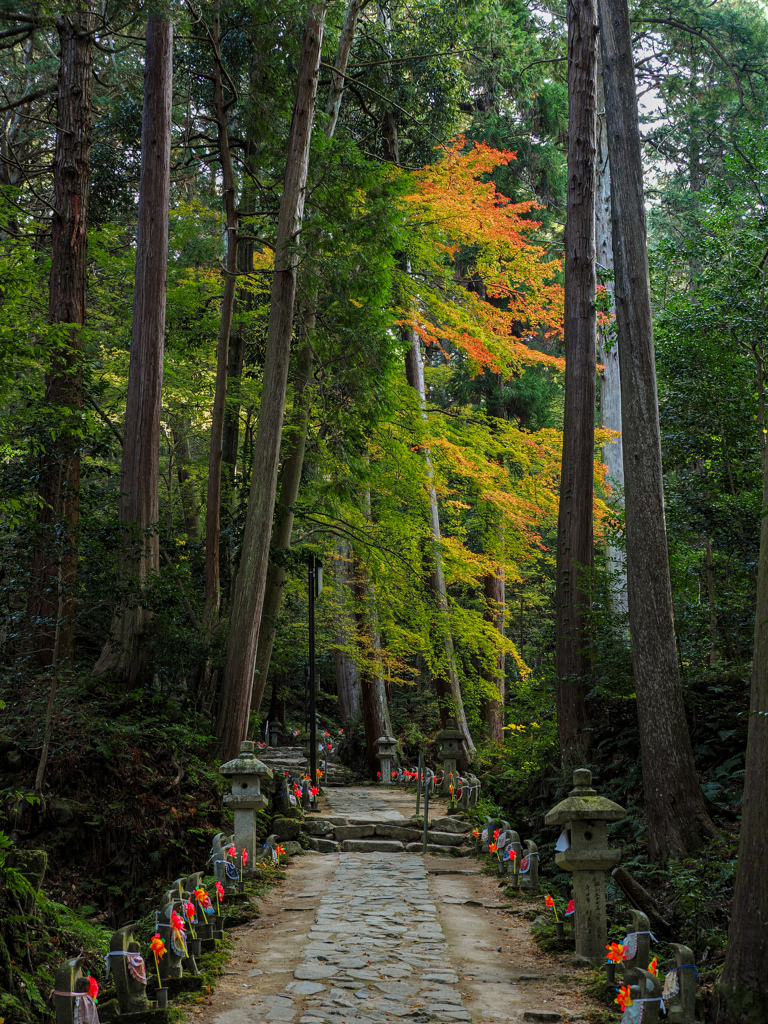 金剛輪寺