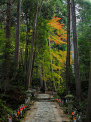 金剛輪寺