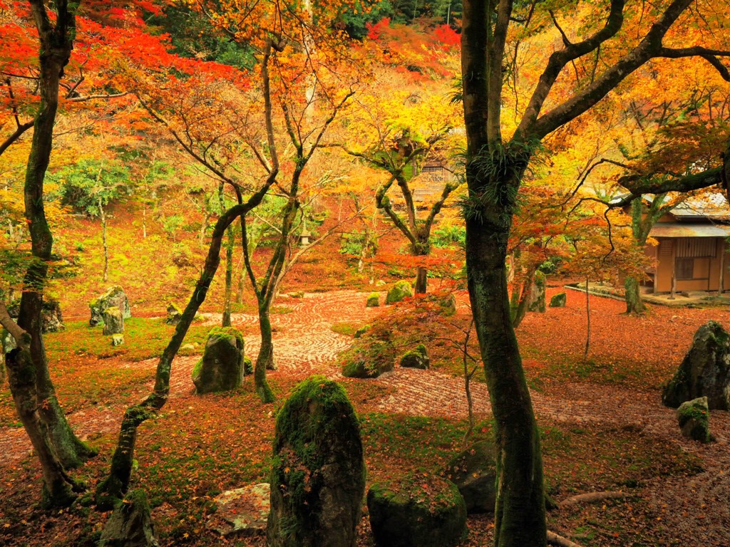 光明禅寺