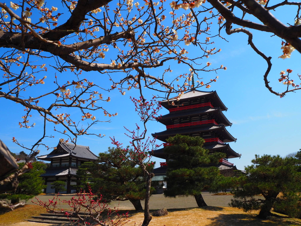 蓮華院誕生寺奥の院