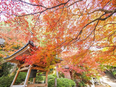 大興禅寺