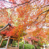 大興禅寺