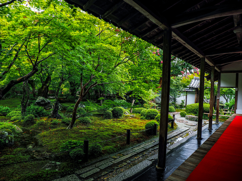 圓光寺
