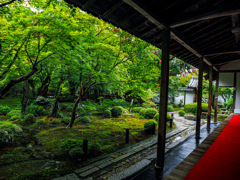 圓光寺