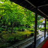 圓光寺