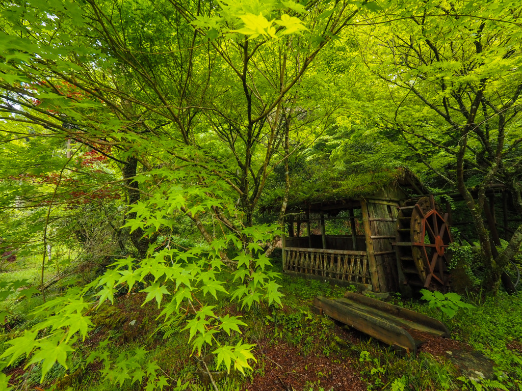 鯛生金山