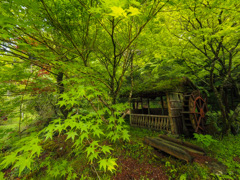 鯛生金山