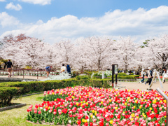 京都府立植物園