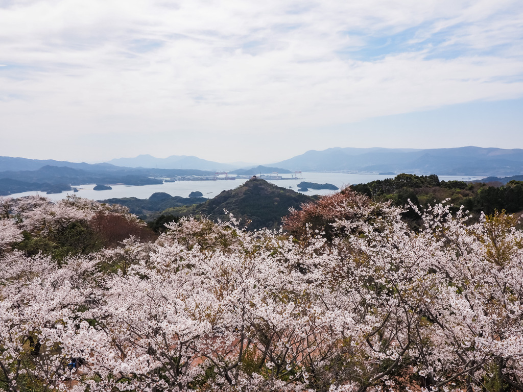 大山展望台