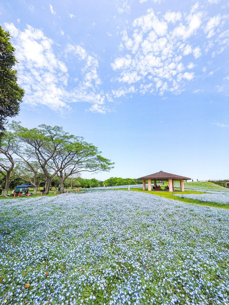 海の中道海浜公園