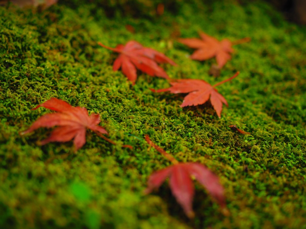 松風園