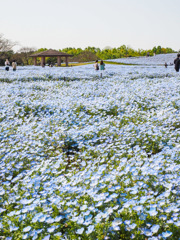 海の中道海浜公園