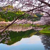 庭木ダム