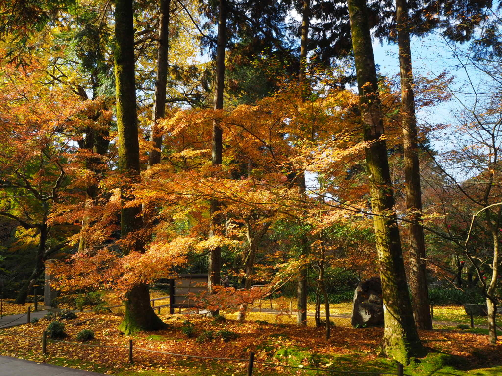 本吉山清水寺