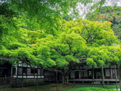 千如寺