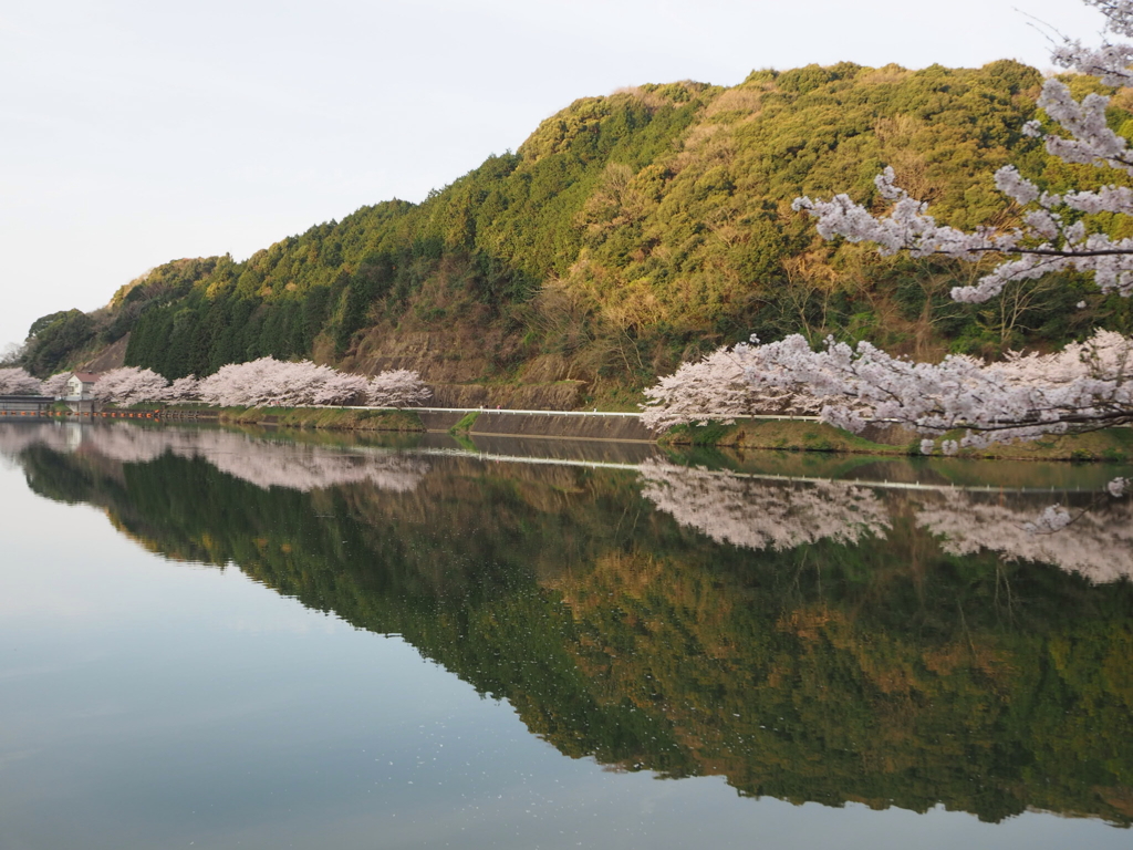 庭木ダム