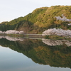庭木ダム