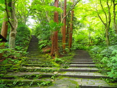瑞泉寺の分かれ道