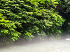 水飛沫