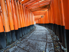 伏見稲荷大社