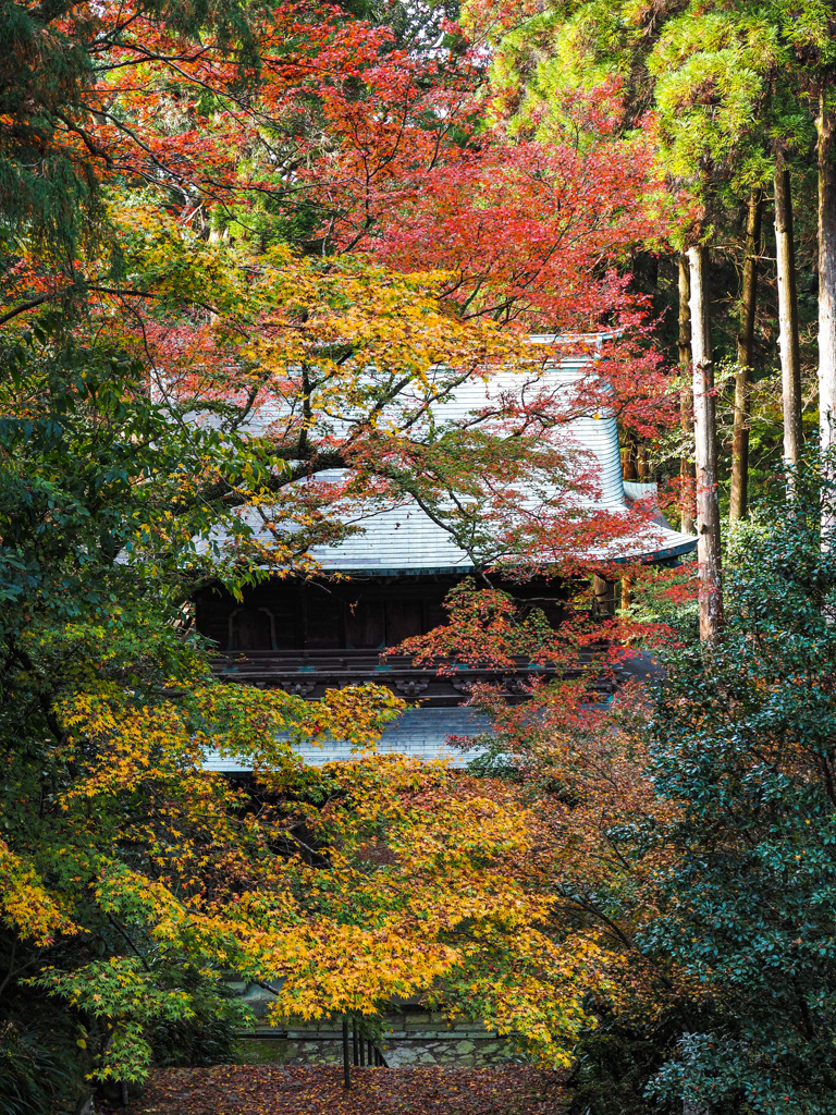 清水寺本坊庭園