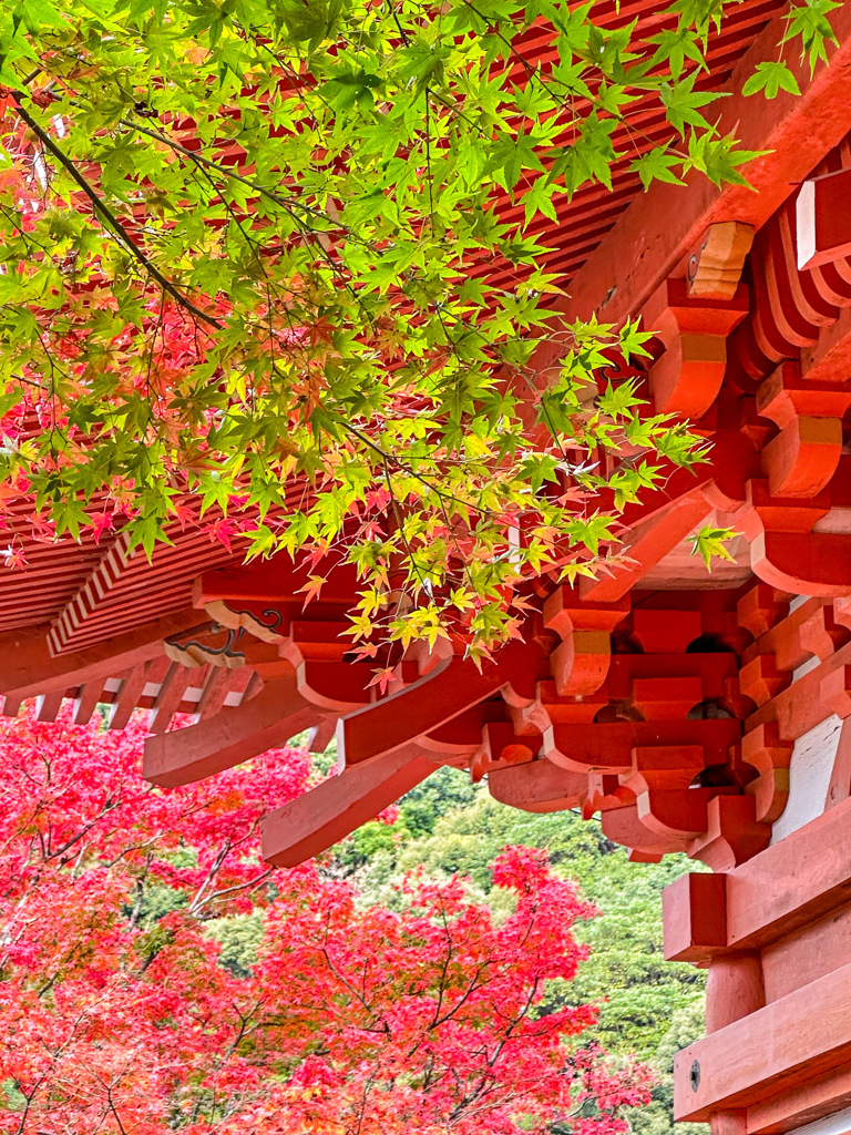 清水寺本坊庭園