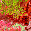 清水寺本坊庭園