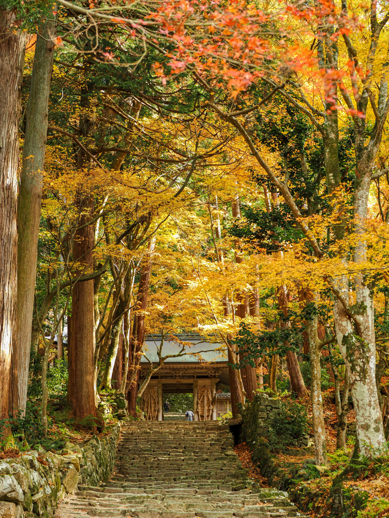 金剛輪寺