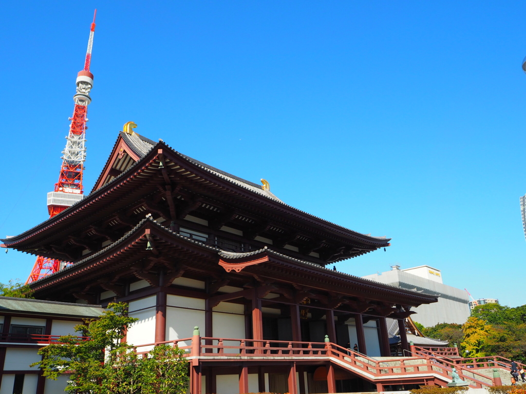 徳川家菩提寺増上寺。
