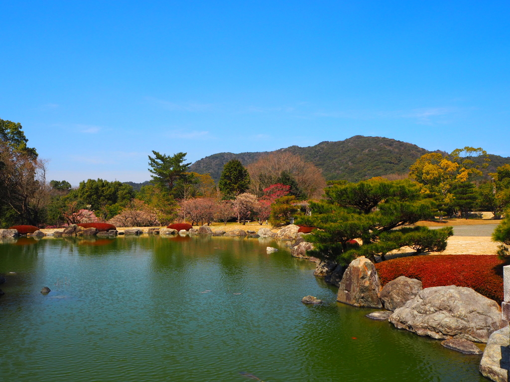 蓮華院誕生寺奥の院