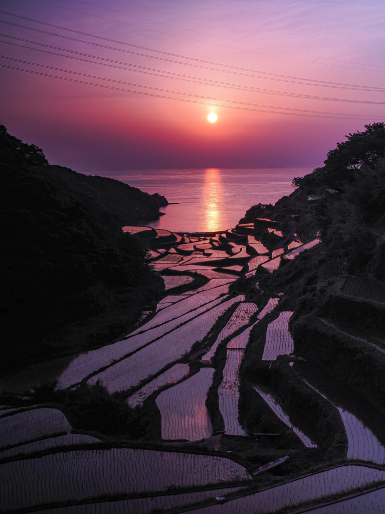 浜野浦の棚田