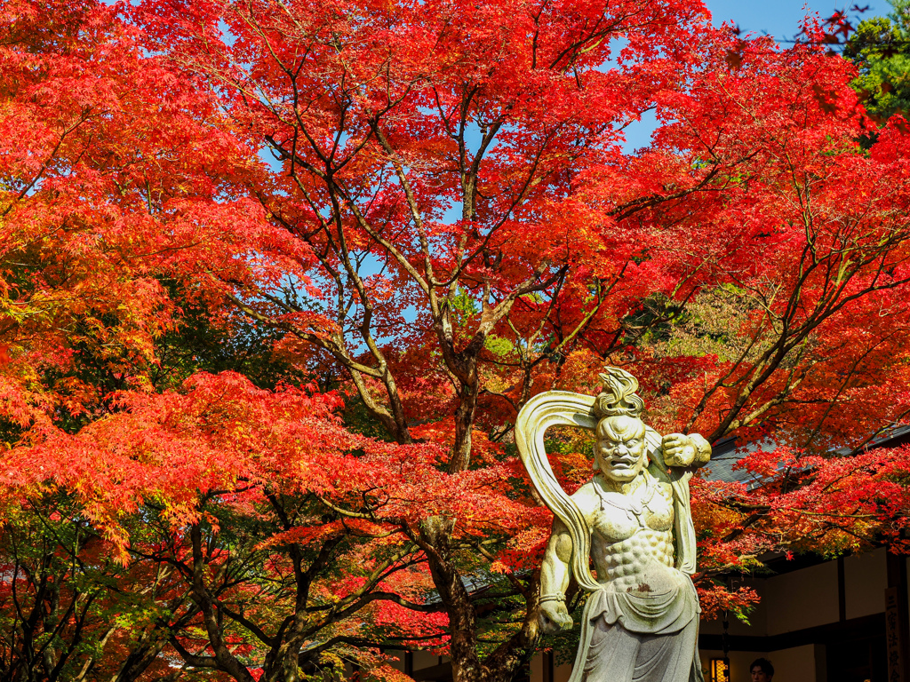 呑山観音寺