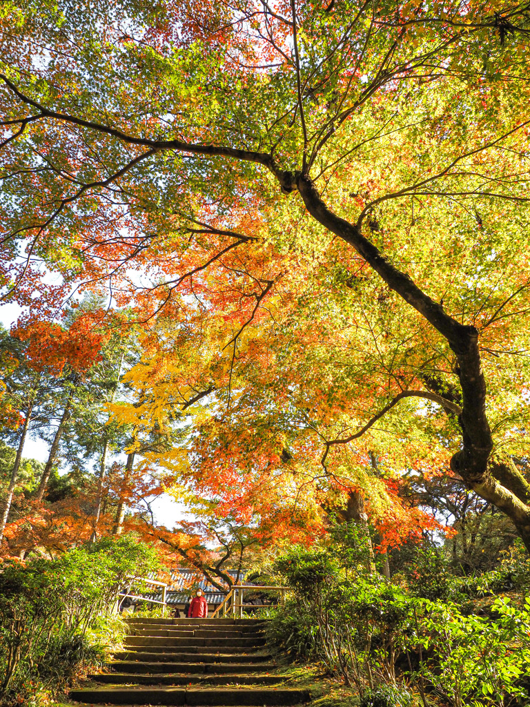 清水寺本坊庭園