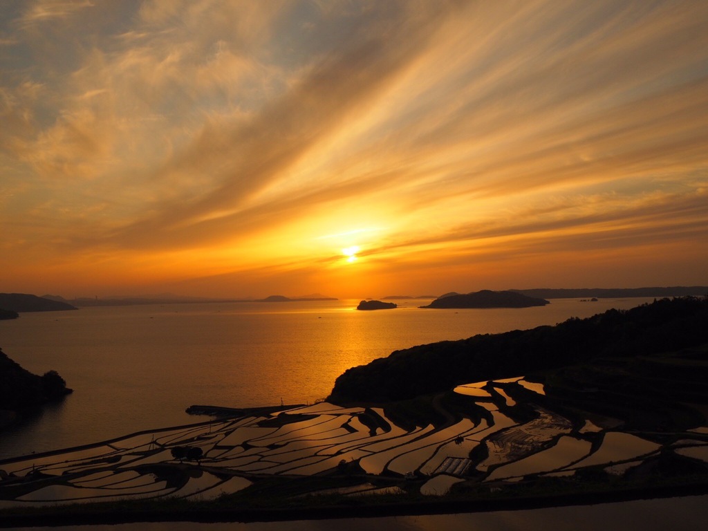 土谷免棚田