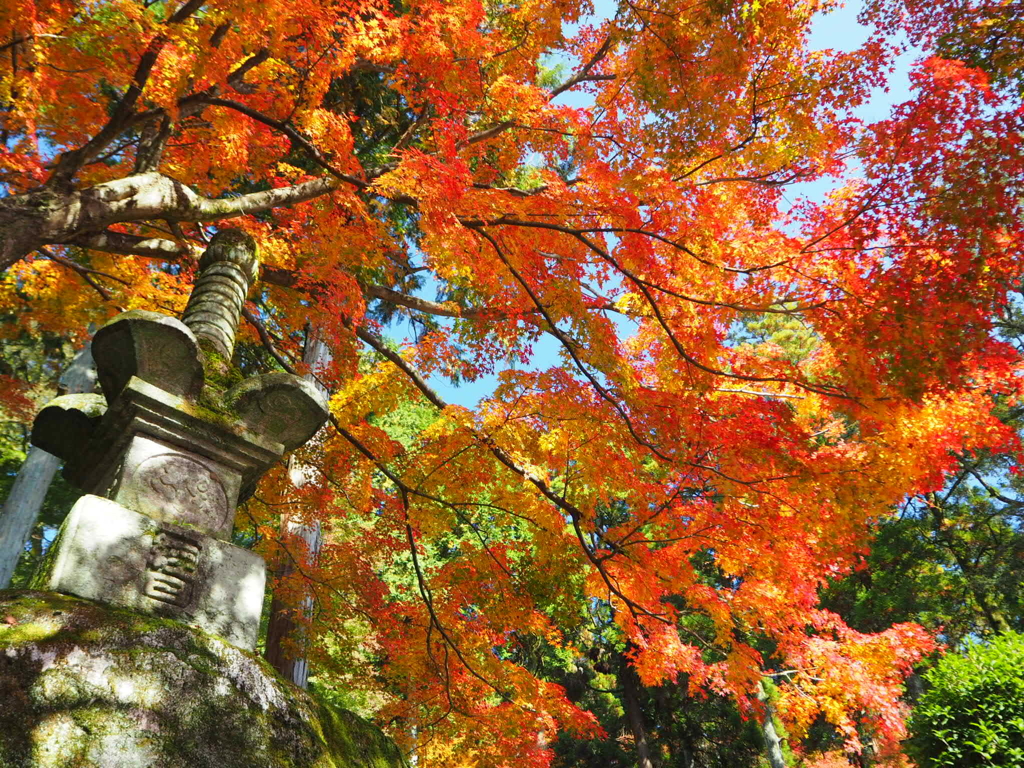別格本山大興善寺
