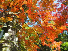 別格本山大興善寺