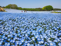 海の中道海浜公園