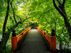 西明寺