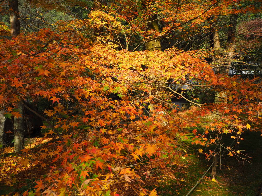 本吉山清水寺