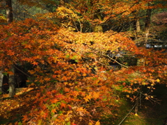 本吉山清水寺