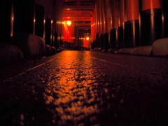 千本鳥居の夜